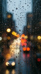 Rainy Window Lights