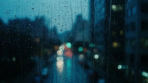 Rainy Window Mood