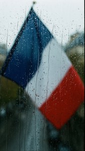 Rainy Window View