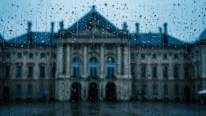 Rainy Window View