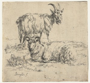 Ram en geit