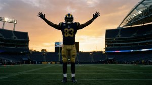 Rams Silhouette Sunset
