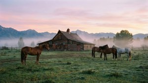 Ranch House at Dawn