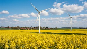 Rapeseed Field Turbines