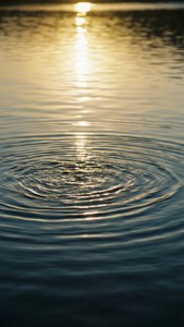 Rate Fluctuation Ripples