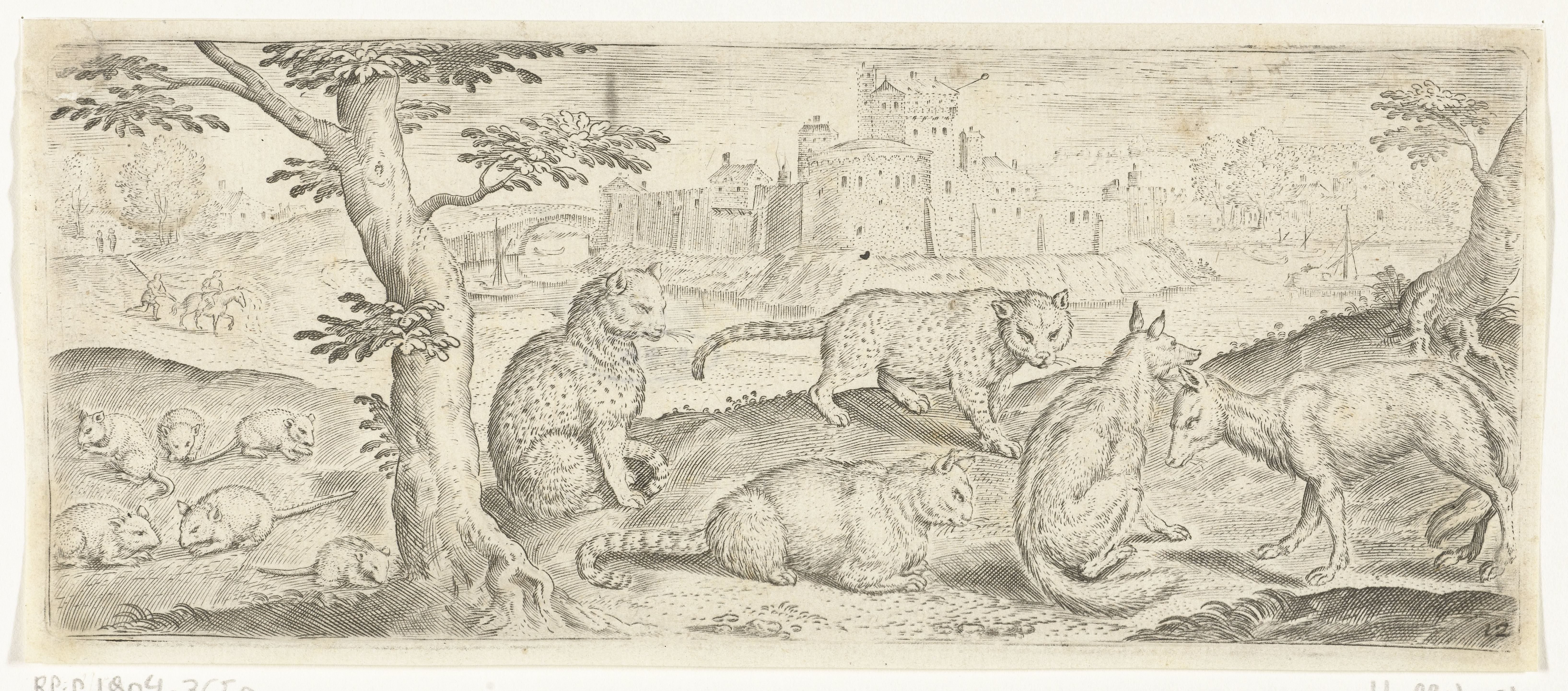 Ratten, katten en vossen by Abraham de Bruyn