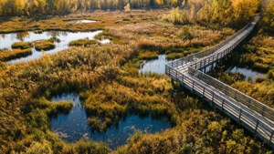 Rattray Marsh Autumn
