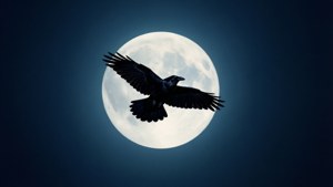 Raven and Moon Minimal
