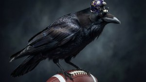 Raven Mascot