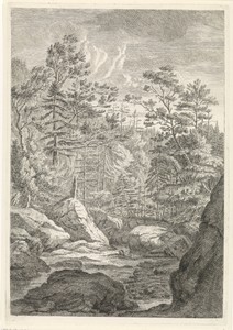Ravijn met bomen en een beekje