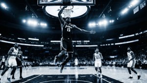 Rebound Silhouette