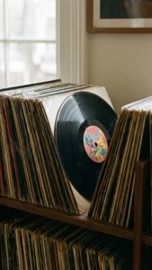 Record Collection Shelf