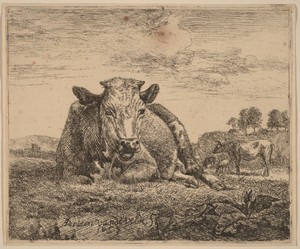 Recumbent Cow
