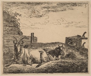 Recumbent Goats