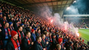 Red and Blue Roar