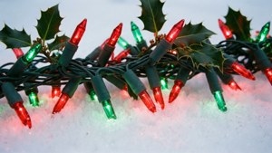 Red and Green Holly Border