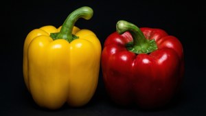 Red and Yellow Contrast