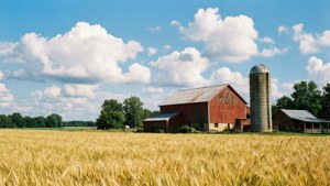 Red Barn Wheat Field