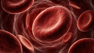 Red Blood Cells Floating