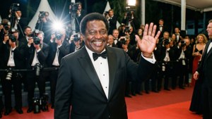 Red Carpet Gala