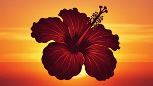 Red Hibiscus Sunset