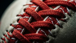 Red Laces Macro