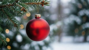 Red Ornament Close-up