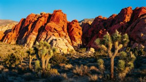 Red Rock Canyon Desert Contrast