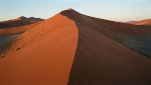 Red Sand Dunes