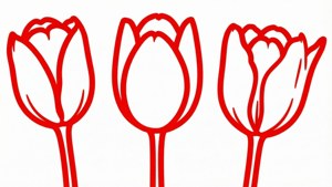 Red Tulip Row