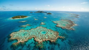 Reef Aerial View