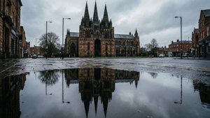 Reflection After Rain