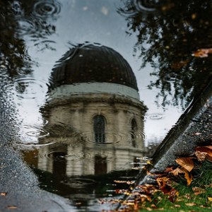 Reflection in a Puddle