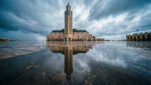 Reflection in Puddle