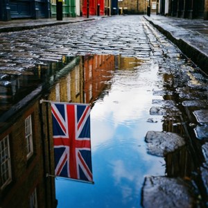 Reflection in Rain Puddle