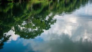 Reflections in the Canal