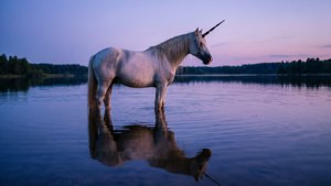 Reflective Lake Unicorn