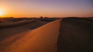 Registan Desert Sunset