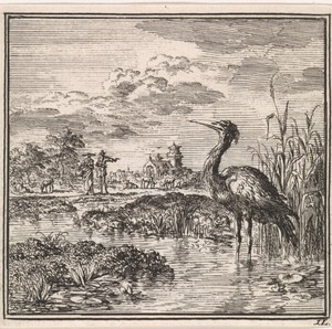 Reiger in een vijver