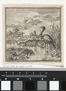 Reiger in een vijver