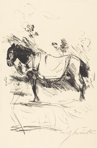 Reitpferd (Riding-Horse)
