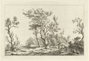 Reizigers in een landschap