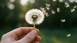Release the Worries