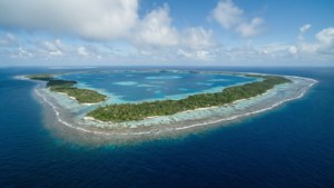 Remote Atoll Wilderness
