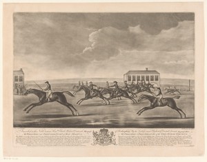 Renbaan met racepaarden