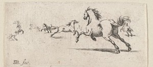 Rennende paarden