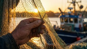 Repair at Golden Hour