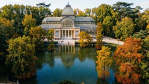 Retiro Park Autumn Aerial