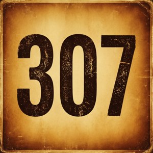 Retro 307 Vintage
