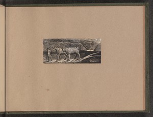 Return of the Shepherd